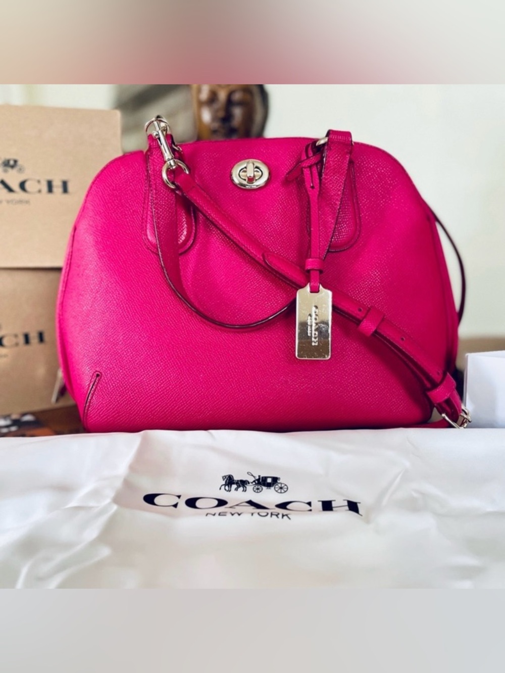 COACH Fuchsia Crossgrain Leather Prince Street Mini Dome Satchel- #34940